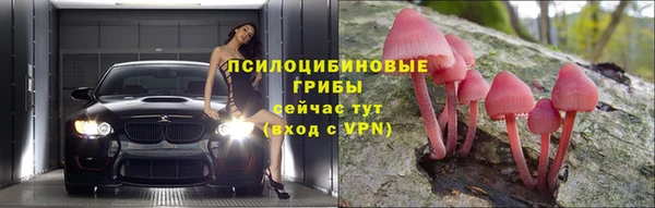 прущие крисы Верхний Тагил