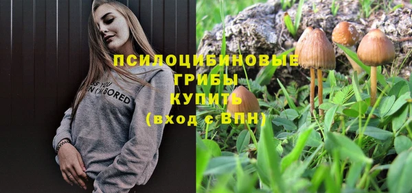 прущие крисы Верхний Тагил