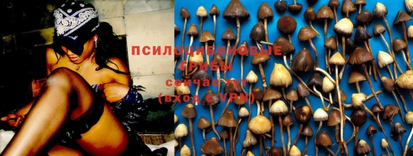 прущие крисы Верхний Тагил