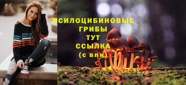 кокс Верея