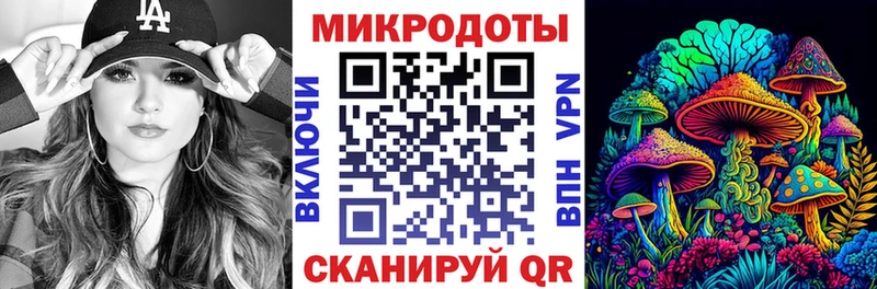 Купить Вяземский Псилоцибиновые грибы MAGIC MUSHROOMS
